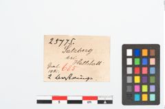 Etikett zu Bernsteinperle (NHMW-PRAE-025775)